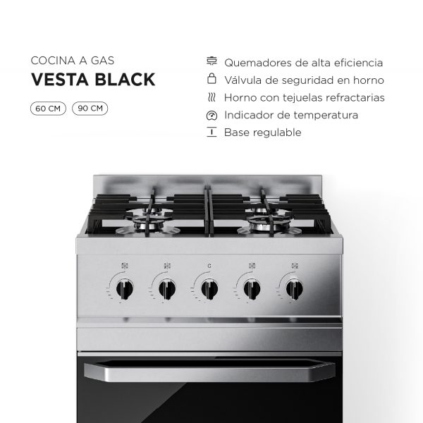 Carcateristicas Vesta Steel