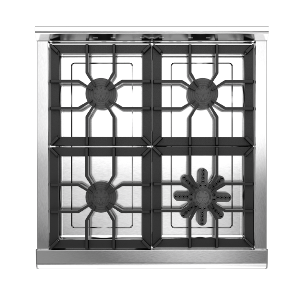 Copia de Country 550 superior