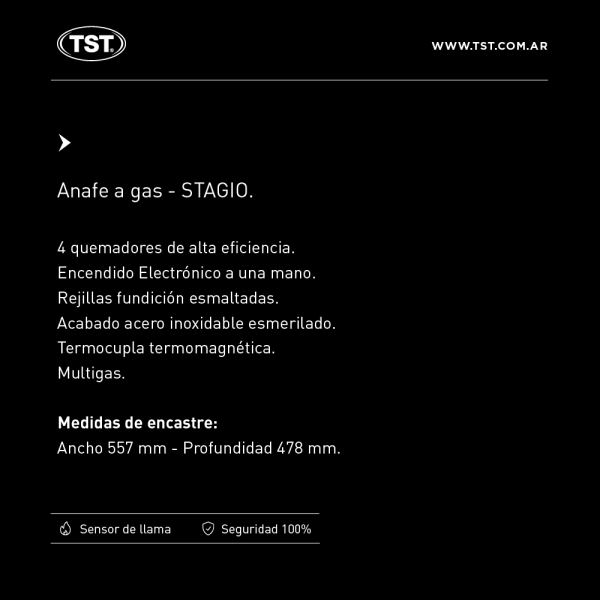 TST-anafe-Stagio.png